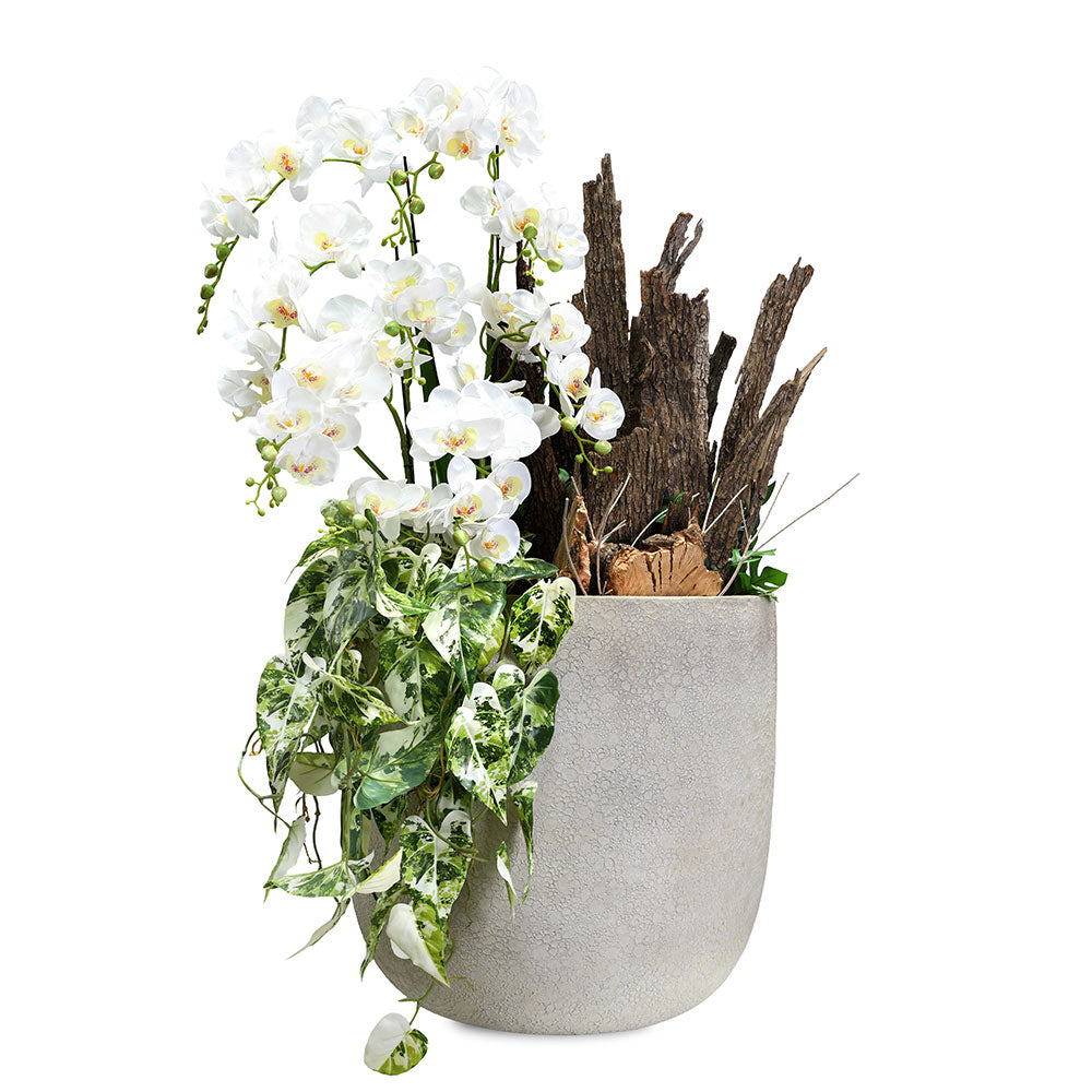 ARTIFICIAL ORCHIDS IN ROWENA PLANTER - أوركيد صناعي في حوض روينا