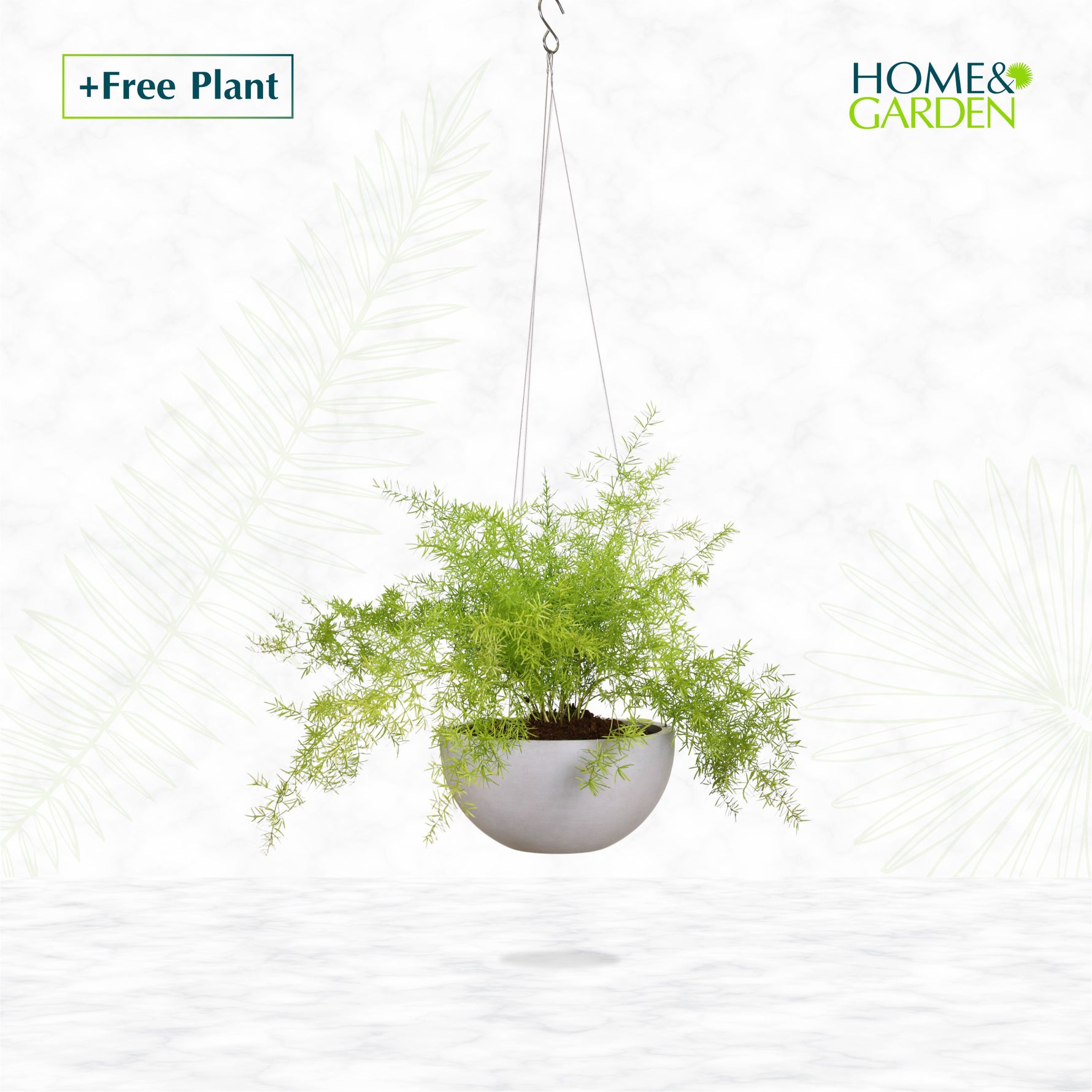 BUY POT & GET A PLANT FREE - OAKLAND HANGING POT - حوض أوكلاند المعلق - اشتري حوض واحصل على نبتة مجاناً