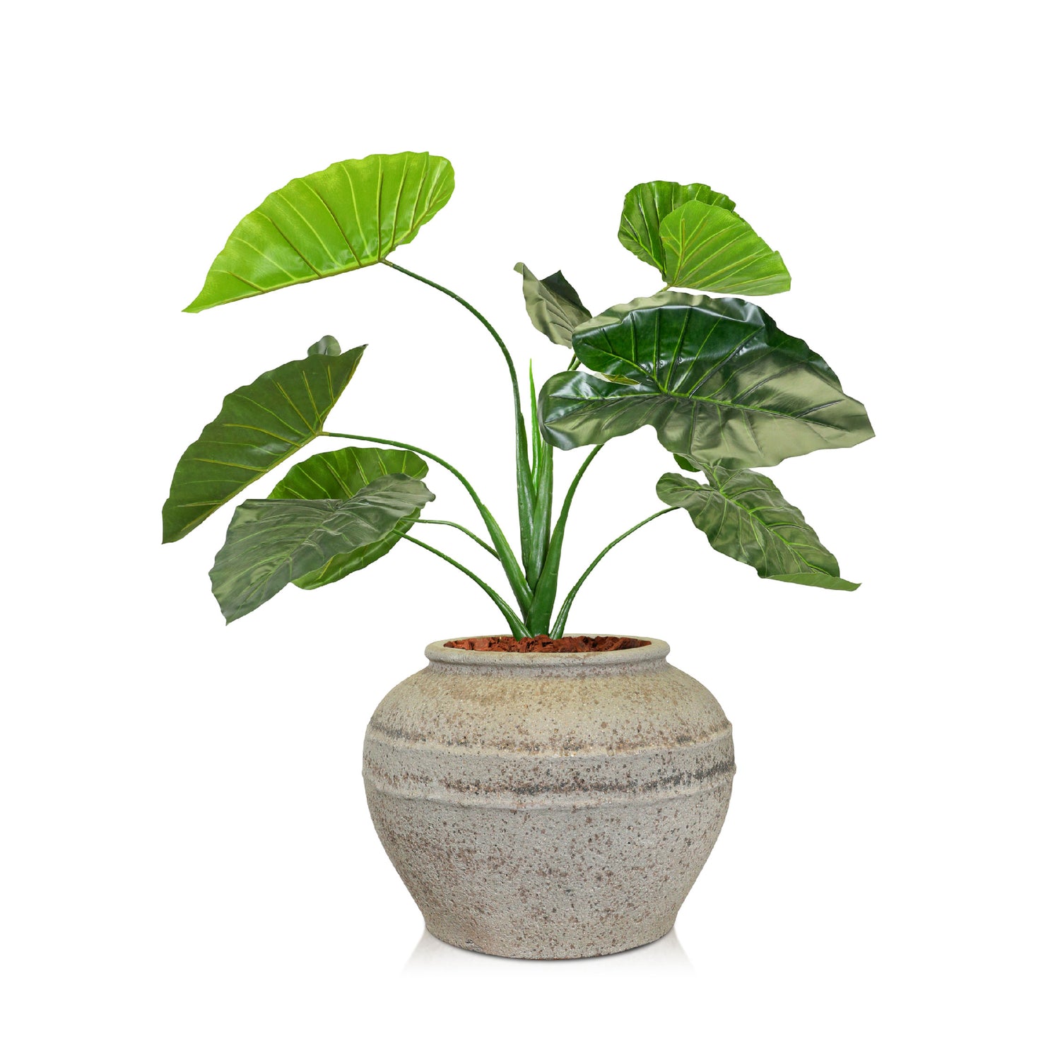 ARTIFICIAL ALOCASIA IN ARBOGA GREIGE PLANTER D53 X H100 cms - ألوكاسيا اصطناعية - في حوض آربوغا الرمادي