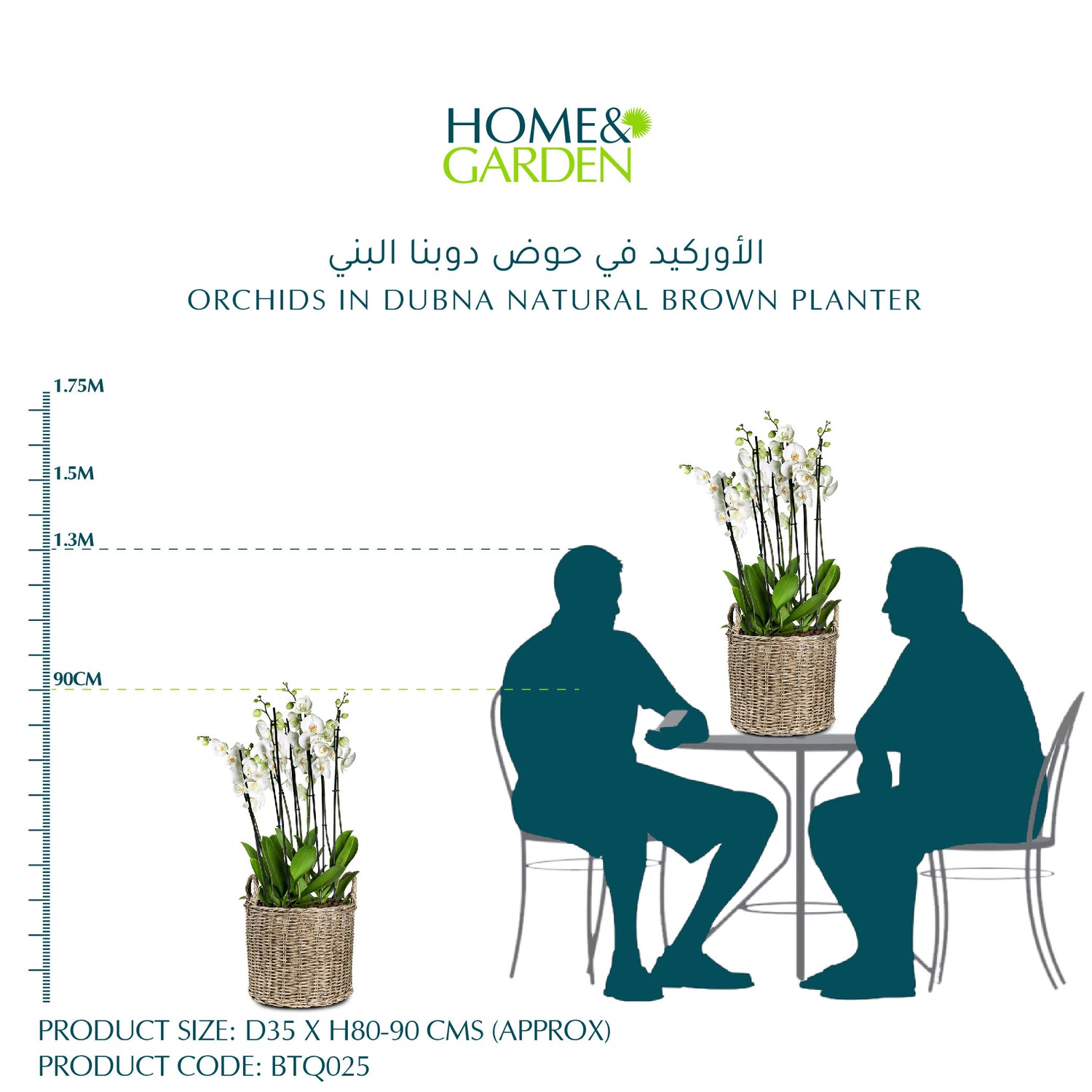 ORCHIDS IN DUBNA NATURAL BROWN PLANTER - الأوركيد في حوض دوبنا البني