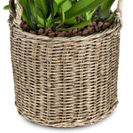 ORCHIDS IN DUBNA NATURAL BROWN PLANTER - الأوركيد في حوض دوبنا البني