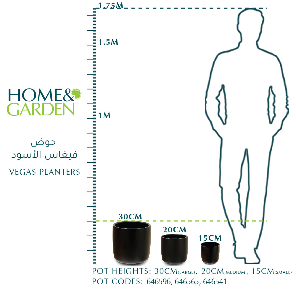 VEGAS PLANTER- حوض فيغاس الأسود