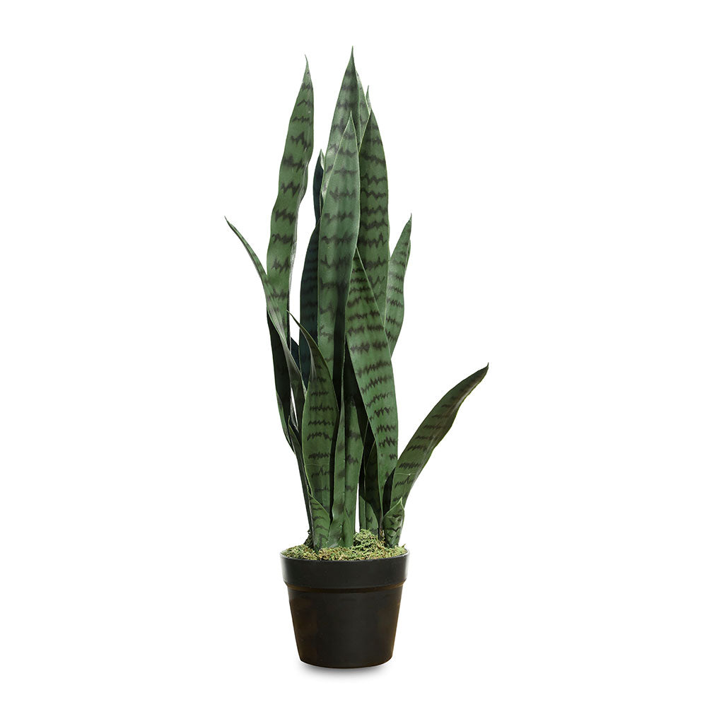 ARTIFICIAL SANSEVERIA PLANT - نبتة سانسيفيريا الاصطناعية