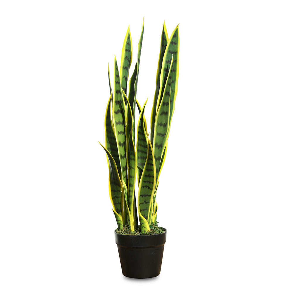 ARTIFICIAL SANSEVERIA PLANT - نبتة سانسيفيريا الاصطناعية