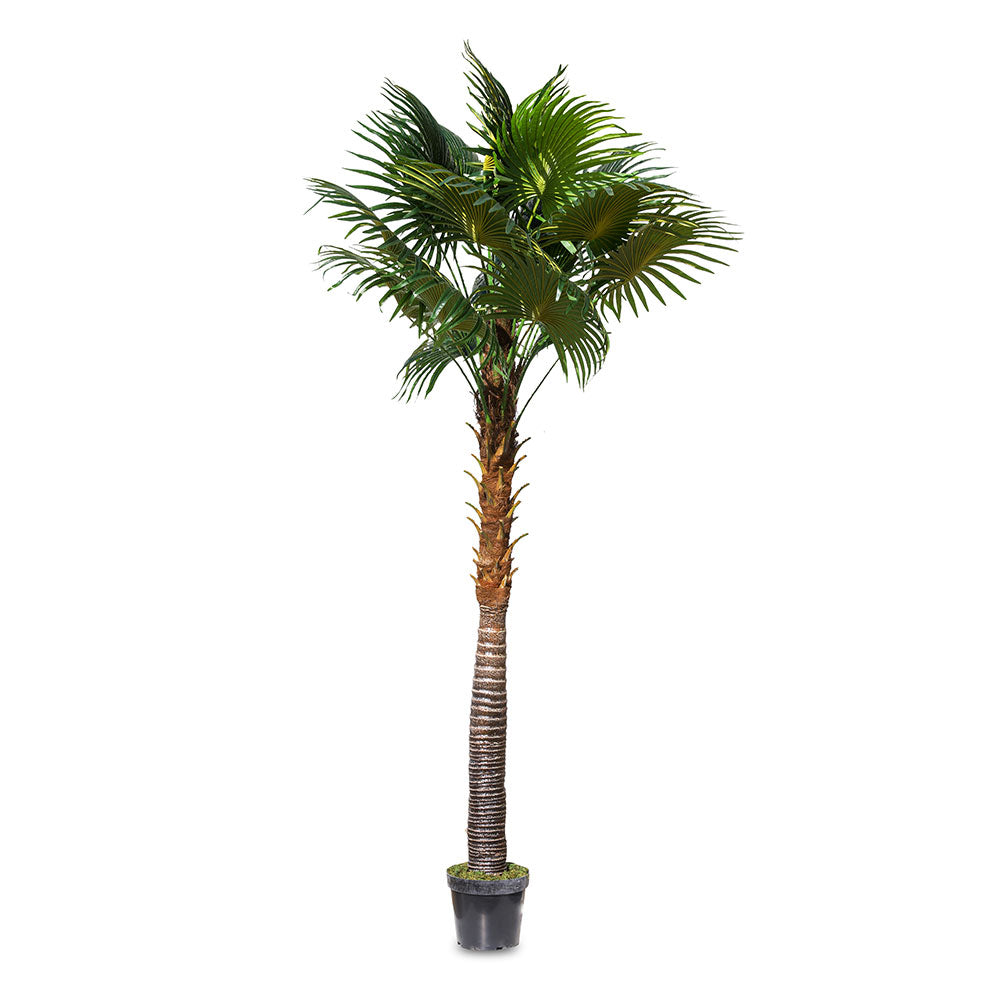 ARTIFICIAL PALM TREE - شجرة النخيل الاصطناعية