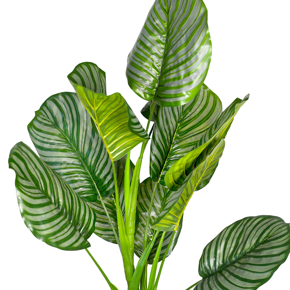 ARTIFICIAL CALATHEA GREEN PLANT- كالاثيا صناعى