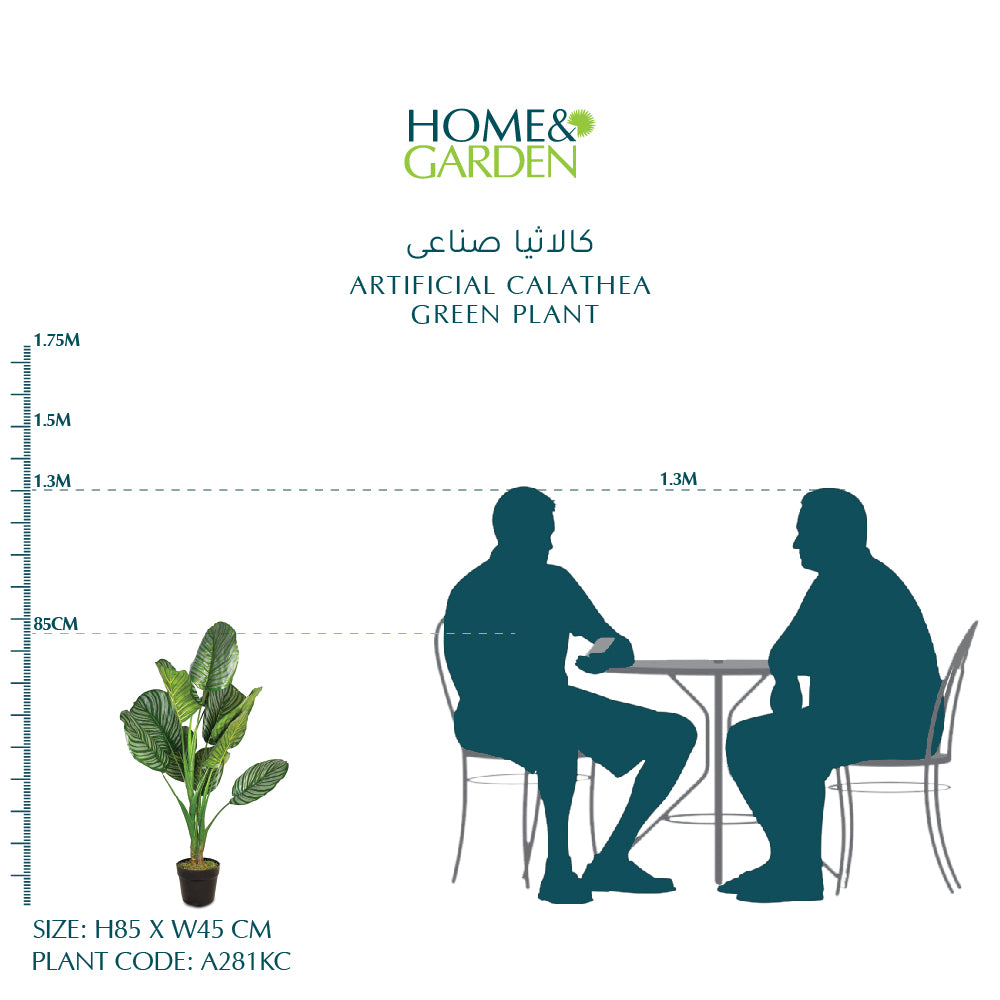 ARTIFICIAL CALATHEA GREEN PLANT- كالاثيا صناعى
