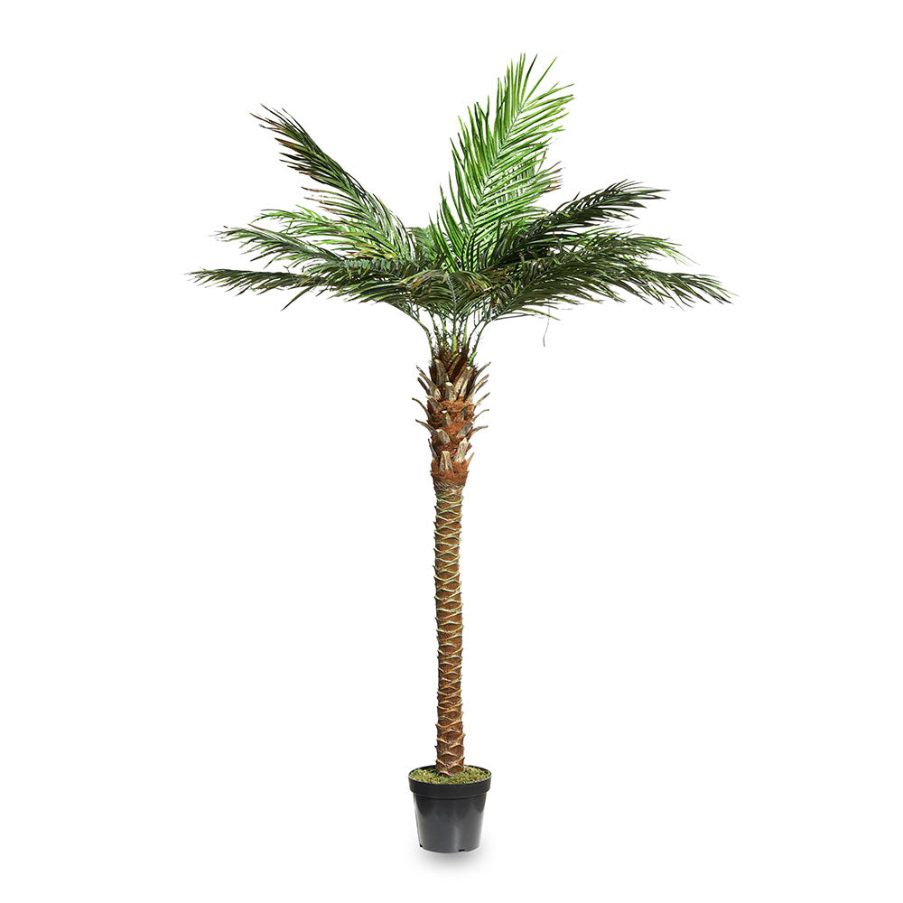 ARTIFICIAL PHOENIX TREE - شجرة الفينيكس الاصطناعية