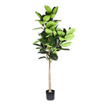 ARTIFICIAL FICUS ELASTICA PLANT - نبات فيكس المطاط الصناعي
