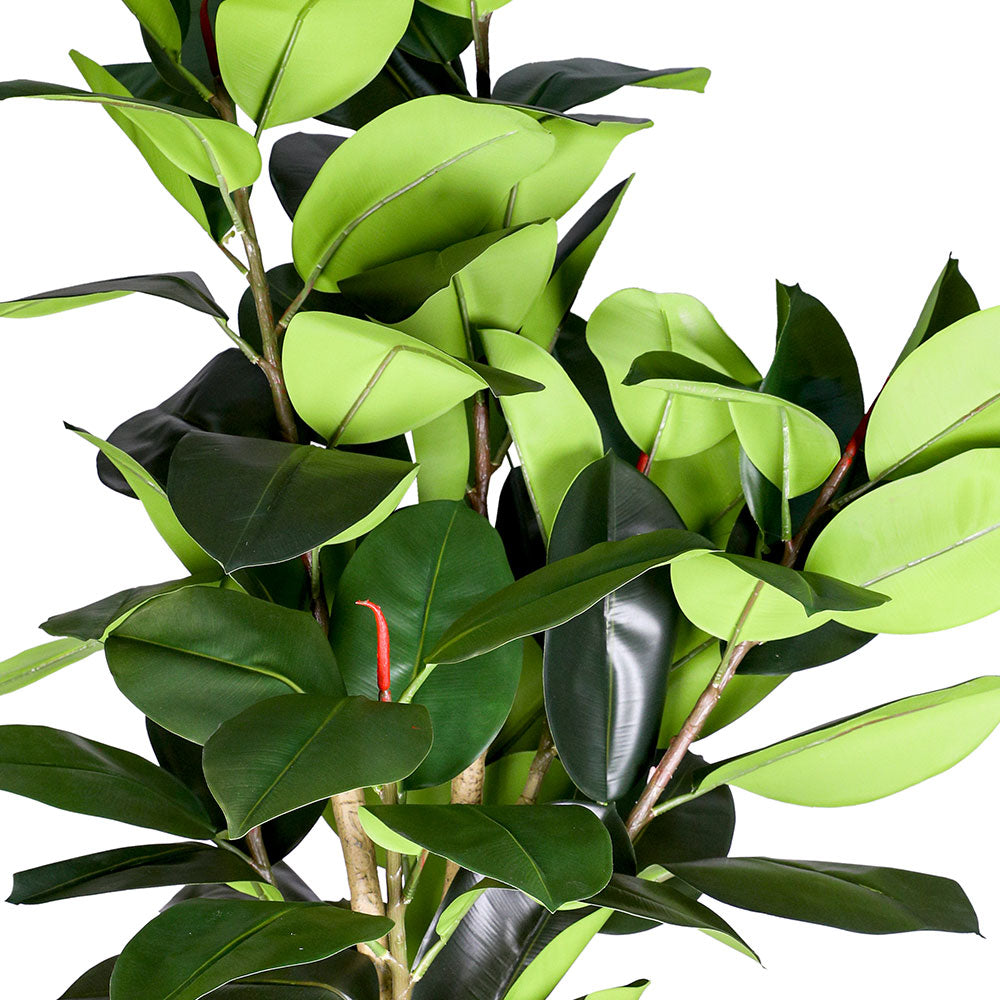 ARTIFICIAL FICUS ELASTICA PLANT - نبات فيكس المطاط الصناعي