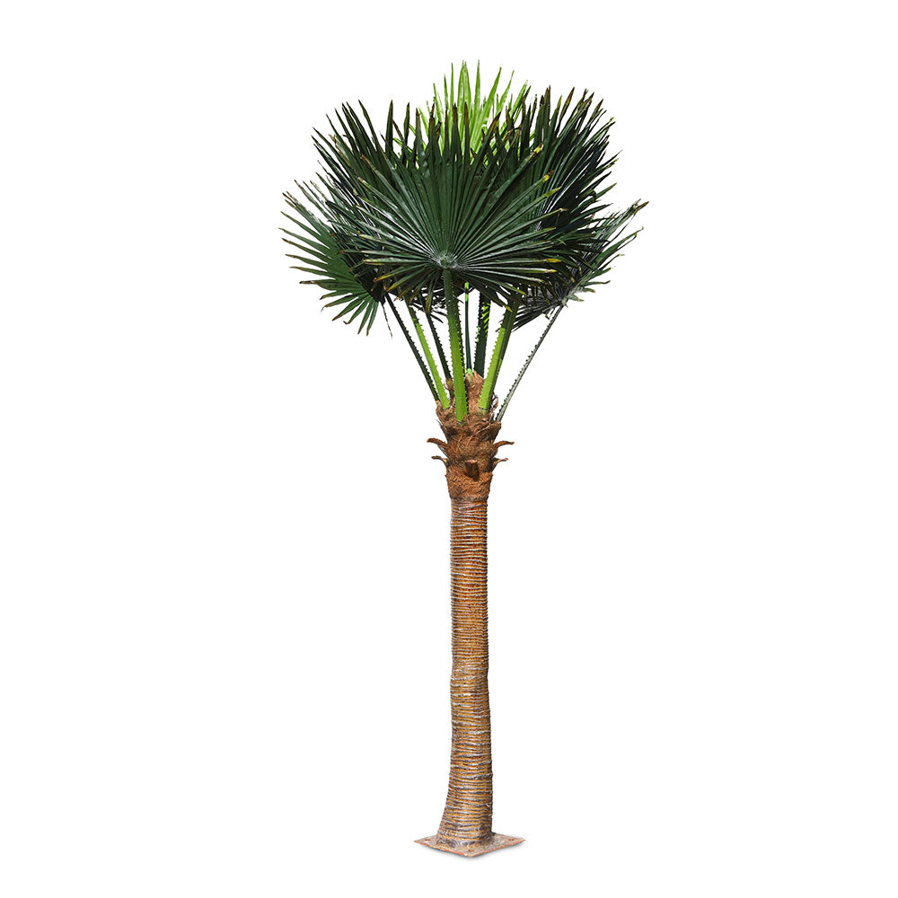 ARTIFICIAL WASHINGTONIA TREE - شجرة واشنطونيا الاصطناعية