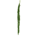 PRESERVED AMARANTHUS - أمارانثوس المحنطة