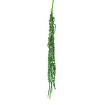 PRESERVED AMARANTHUS CITRON - أمارانثس سيترون المحنطة