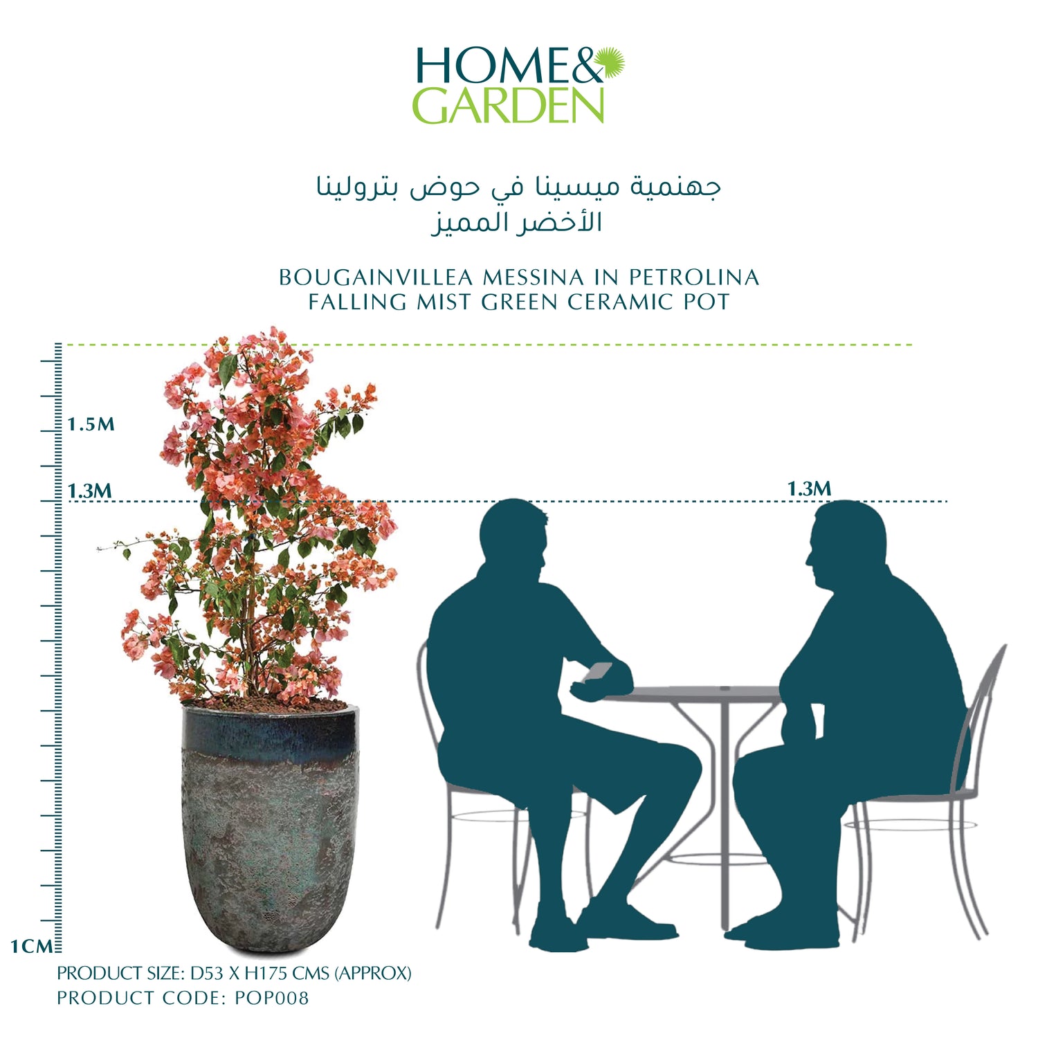 BOUGAINVILLEA MESSINA IN PETROLINA FALLING MIST GREEN CERAMIC POT -  جهنمية ميسينا في حوض بترولينا الأخضر المميز