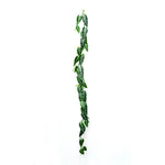ARTIFICIAL CALADIUM GREEN H180CM - كالاديوم اخضر صناعي