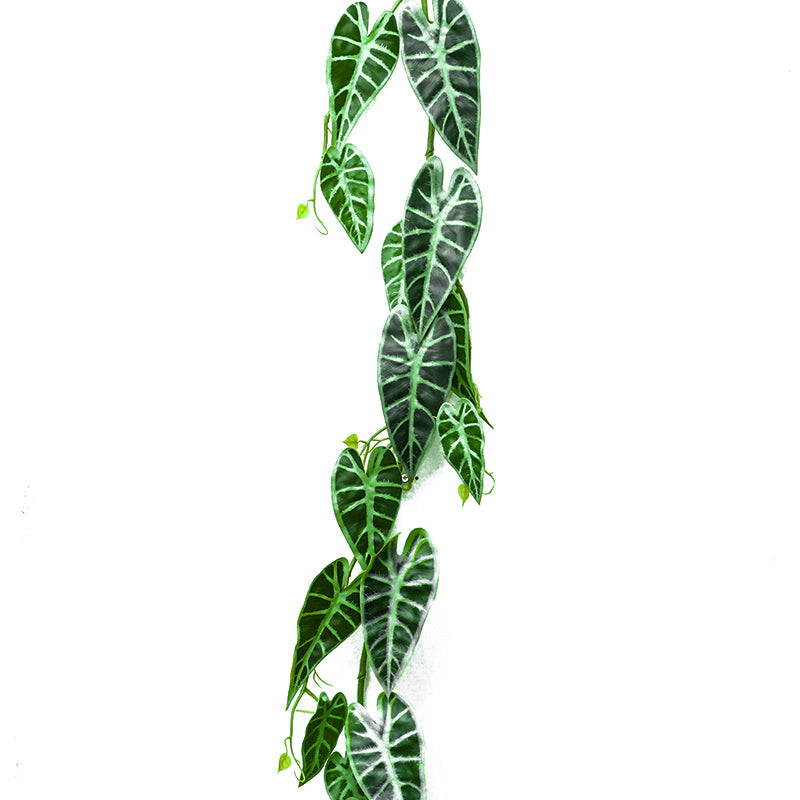 ARTIFICIAL CALADIUM GREEN H180CM - كالاديوم اخضر صناعي