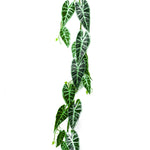 ARTIFICIAL CALADIUM GREEN H180CM - كالاديوم اخضر صناعي