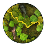 CUSTOMIZED PRESERVED MOSS BIG FRAME (نباتات مجففة في حوض خرساني (حسب الطلب