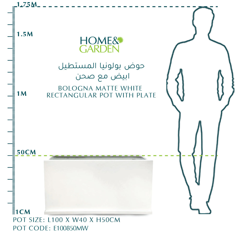BOLOGNA RECTANGULAR POT WITH PLATE MATTE WHITE حوض بولونيا المستطيل ابيض مع صحن