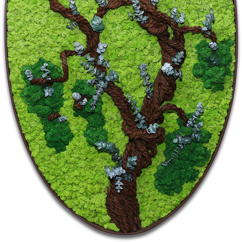 CUSTOMIZED PRESERVED MOSS BIG OVAL SHAPE FRAME (نباتات مجففة في حوض خرساني (حسب الطلب