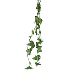 PRESERVED HEDERA HELIX MINI - هيديرا هيليكس ميني المحنطة