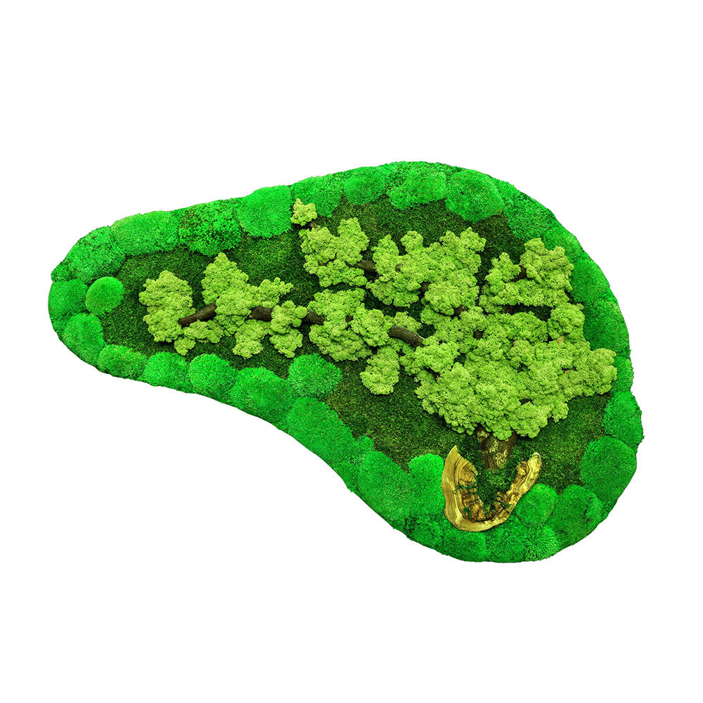 CUSTOMIZED PRESERVED MOSS BIG OVAL FRAME