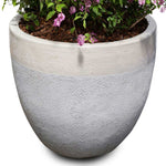 BOUGAINVILLEA COMO IN ALTEROSA CHALKY-WHITE CERAMIC POT - جهنمية كومو في حوض ألتيروسا باللون الأبيض الطباشيري