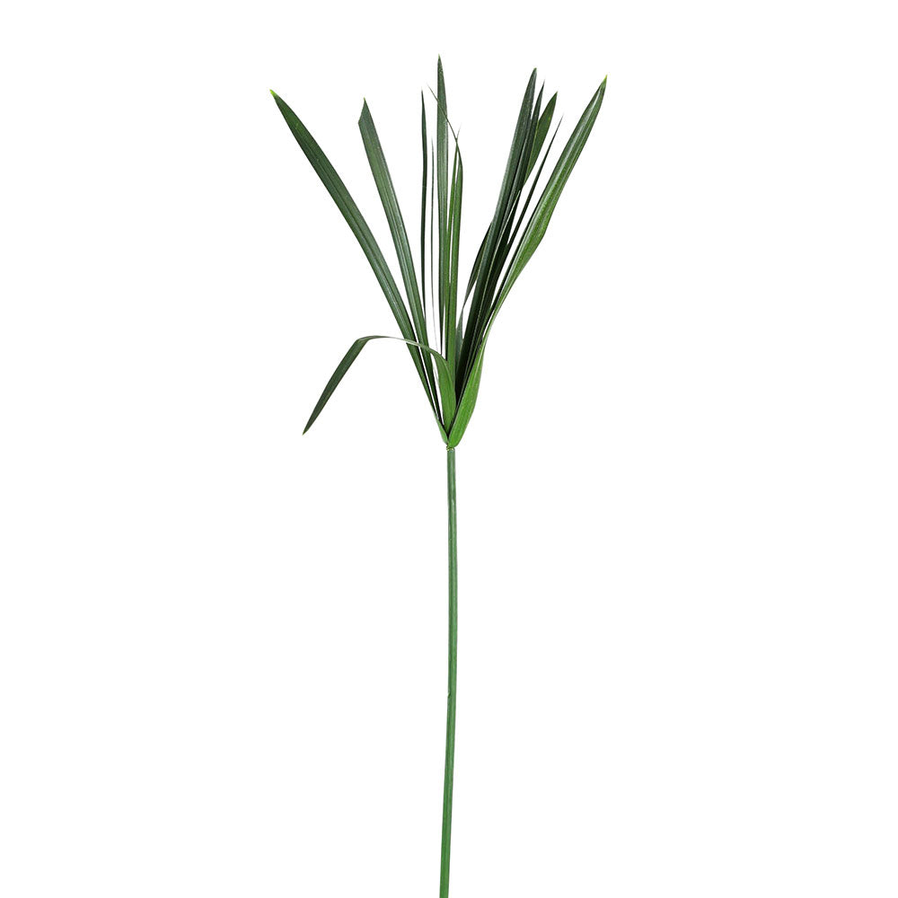 PRESERVED PAPYRUS BRANCH
