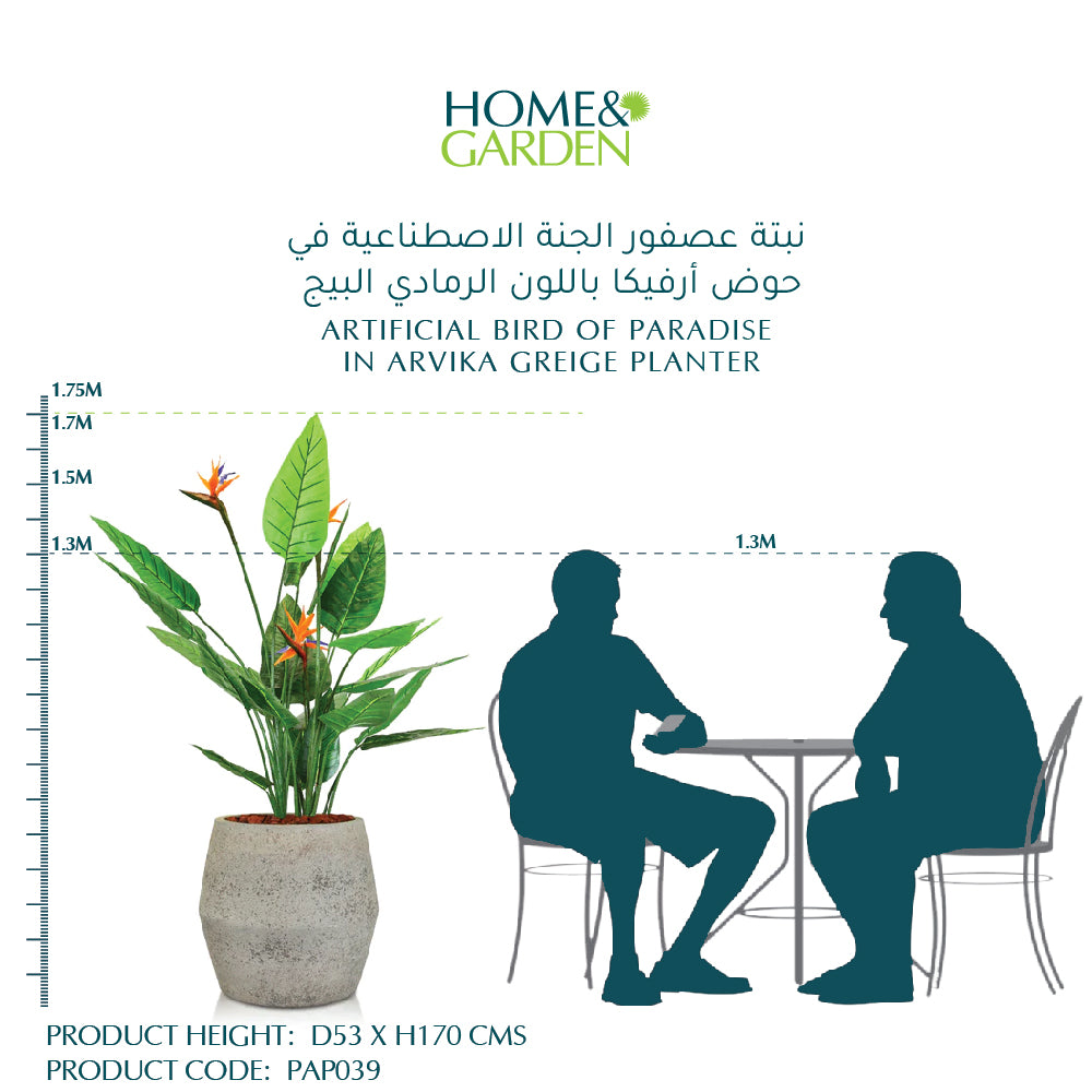 ARTIFICIAL BIRD OF PARADISE IN ARVIKA GREIGE PLANTER D53 X H170 cms - نبتة عصفور الجنة الاصطناعية في حوض أرفيكا باللون الرمادي البيج