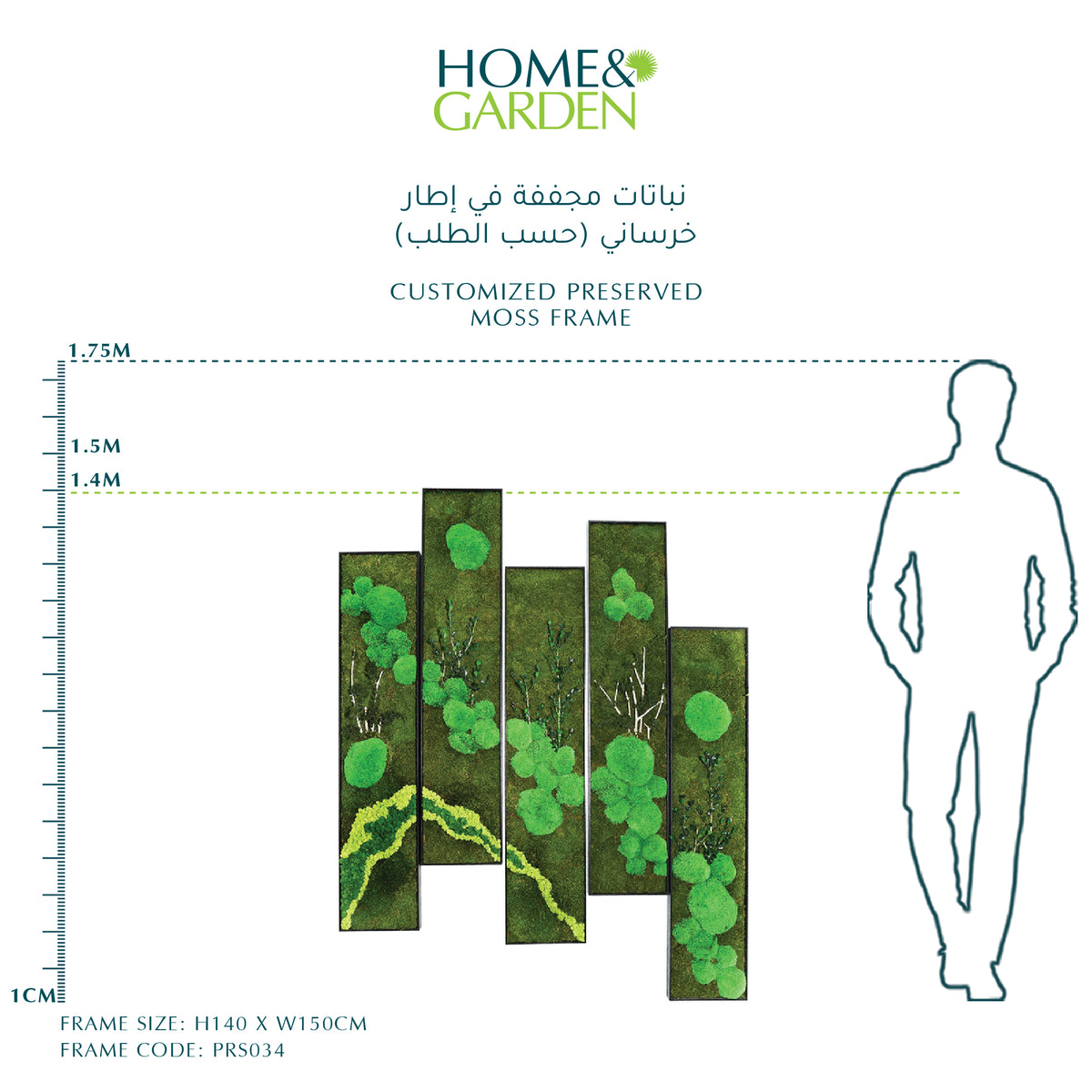 CUSTOMIZED PRESERVED MOSS FRAME (نباتات مجففة في إطار خرساني (حسب الطلب