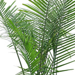 RAVENEA RIVULARIS H150-200CM رافينيا ريفولاريس