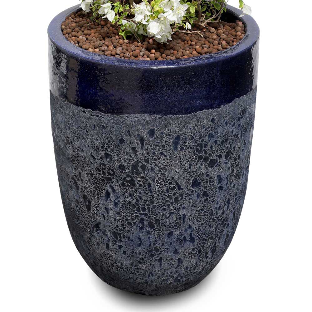 BOUGAINVILLEA MANAROLA IN PETROLINA BLUE CERAMIC POT - جهنمية مانارولا في حوض بترولينا الأزرق