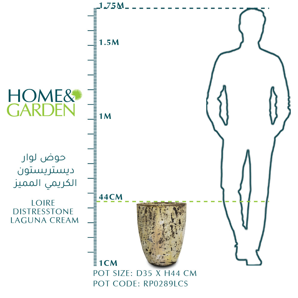 RAFAELA LAGUNA CREAM PLANTER - حوض رافاييلا الكريمي المميز