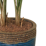 RAVENEA RIVULARIS IN BROWN-GREEN CERAMIC POT - جمال طبيعي يتجلى في تصميم حوض فرانكا الساحر