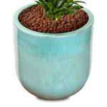 DRACAENA IN ZEIST GREEN CERAMIC PLANTER