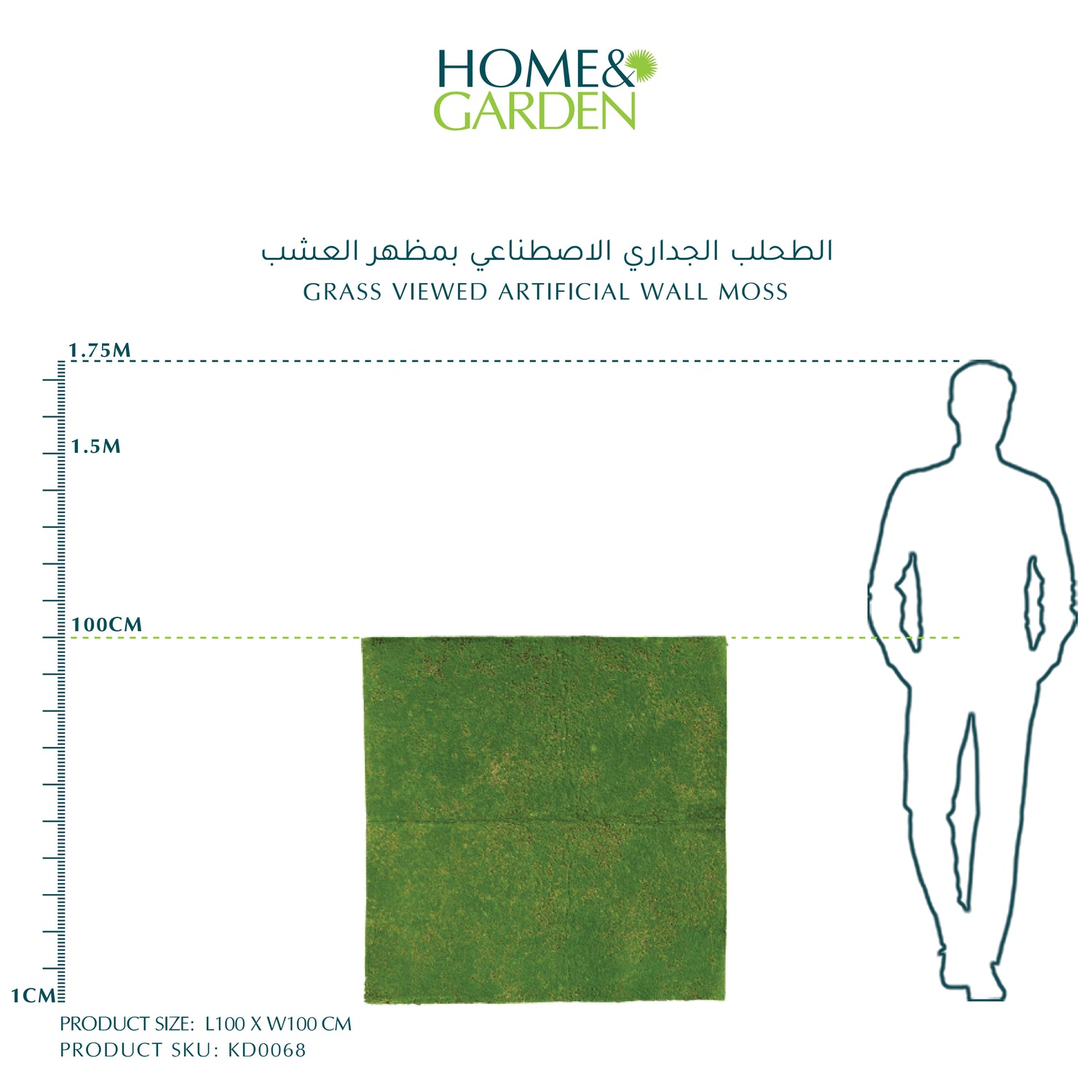 GRASS VIEWED ARTIFICIAL WALL MOSS (L100xW100CM) - الطحلب الجداري الاصطناعي بمظهر العشب (الطول 100 سم × العرض 100 سم)