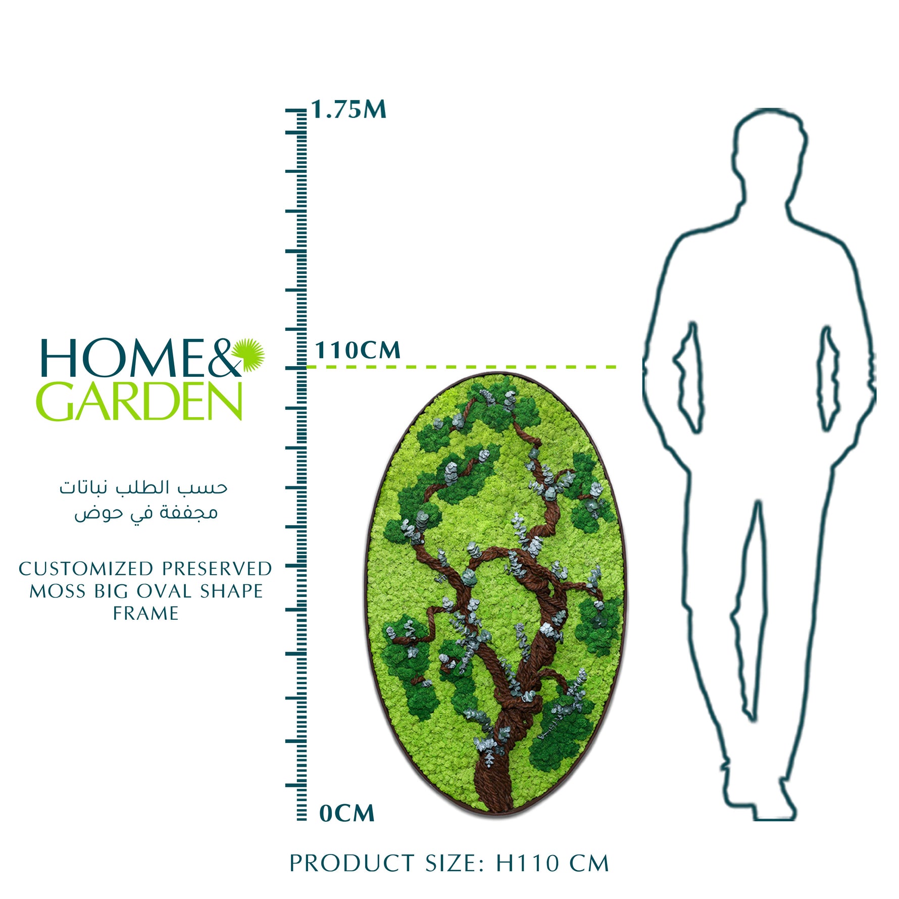 CUSTOMIZED PRESERVED MOSS BIG OVAL SHAPE FRAME (نباتات مجففة في حوض خرساني (حسب الطلب