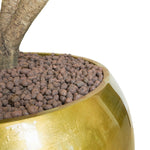 DRACAENA DRACO BRANCHED IN MAPUTO HONEY GRADIENT POT دراسينا دراكو المتفرعه في حوض مابوتو
