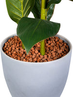 ARTIFICIAL CANNA PLANT ORANGE FLOWER IN GREY STONE ROUND CERAMIC POT- كنّا صناعى-زهور برتقالي في حوض سيراميك دائري من الحجر الرمادي