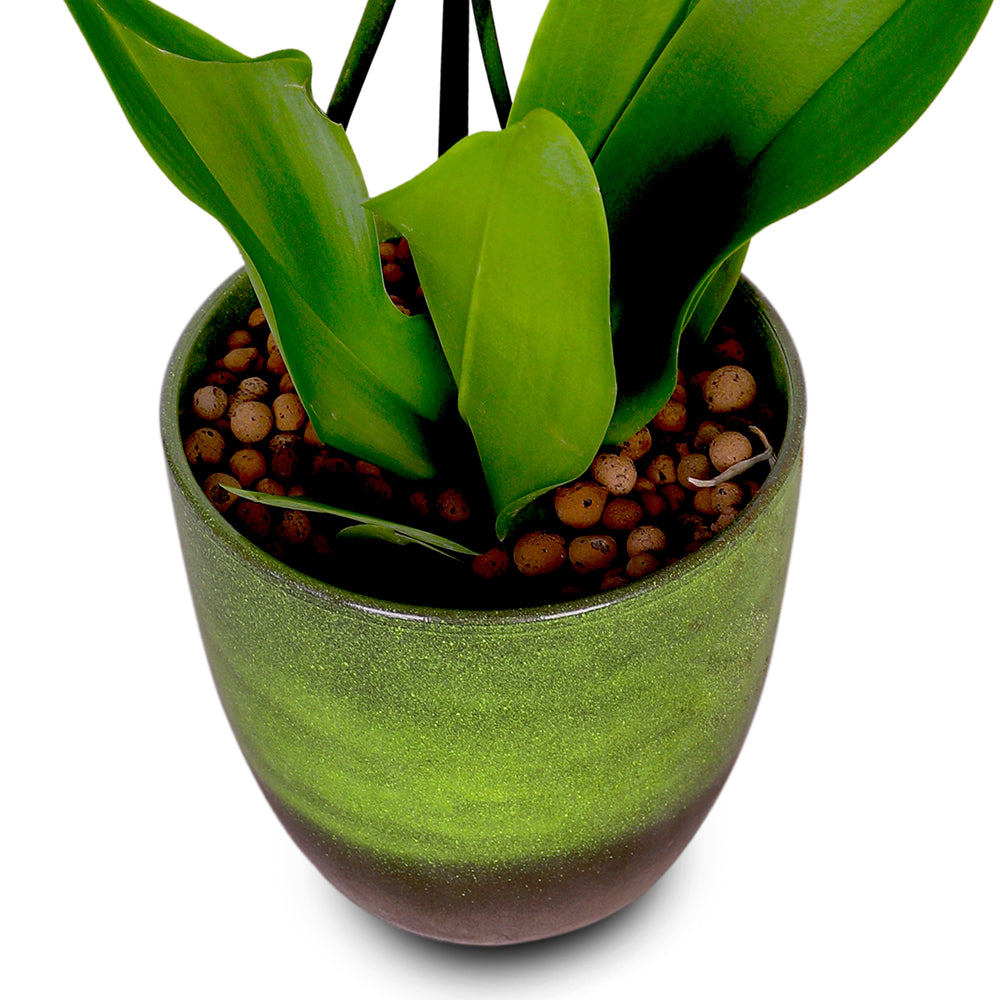WHITE ORCHID IN ROUND JUNGLE GREEN CERAMIC POT - أوركيد أبيض في حوض سيراميك دائري بلون الأخضر