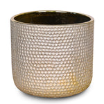 WHITE ORCHID IN ROUND LUBECK GOLD CERAMIC POT - أوركيد أبيض في حوض سيراميك دائري بلون الذهبي