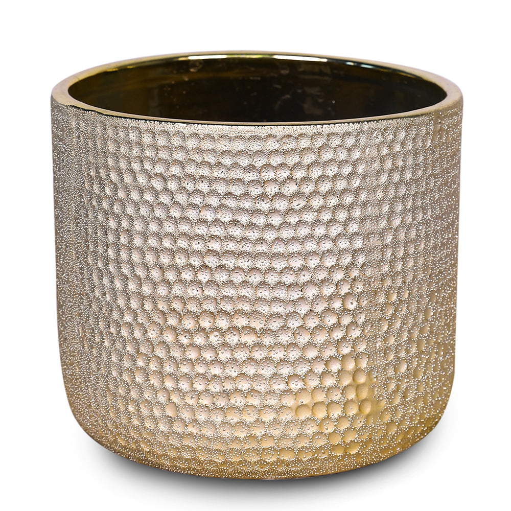 WHITE ORCHID IN ROUND LUBECK GOLD CERAMIC POT - أوركيد أبيض في حوض سيراميك دائري بلون الذهبي
