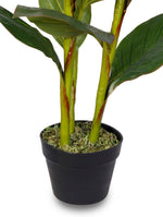 ARTIFICIAL CANNA PLANT ORANGE FLOWER IN GREY STONE ROUND CERAMIC POT- كنّا صناعى-زهور برتقالي في حوض سيراميك دائري من الحجر الرمادي
