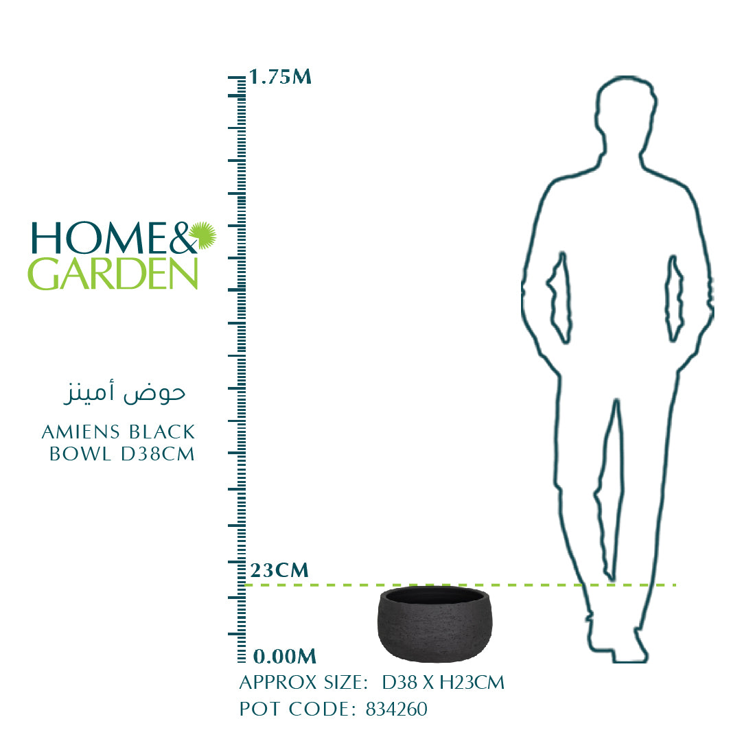 AMIENS BLACK BOWL D38CM - حوض أمينز