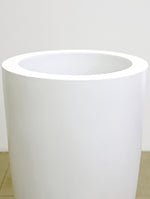 FICUS LYRATA IN WHITE TALL ROUND FIBER CEMENT POT فيكس ليراتا في حوض فايبر