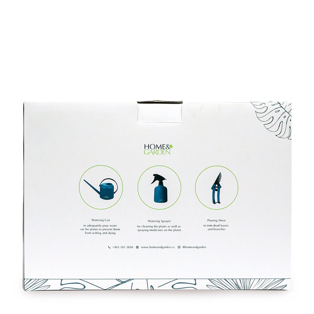 PLANTS CARE KIT صندوق العناية بالنباتات