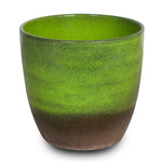 WHITE ORCHID IN ROUND JUNGLE GREEN CERAMIC POT - أوركيد أبيض في حوض سيراميك دائري بلون الأخضر