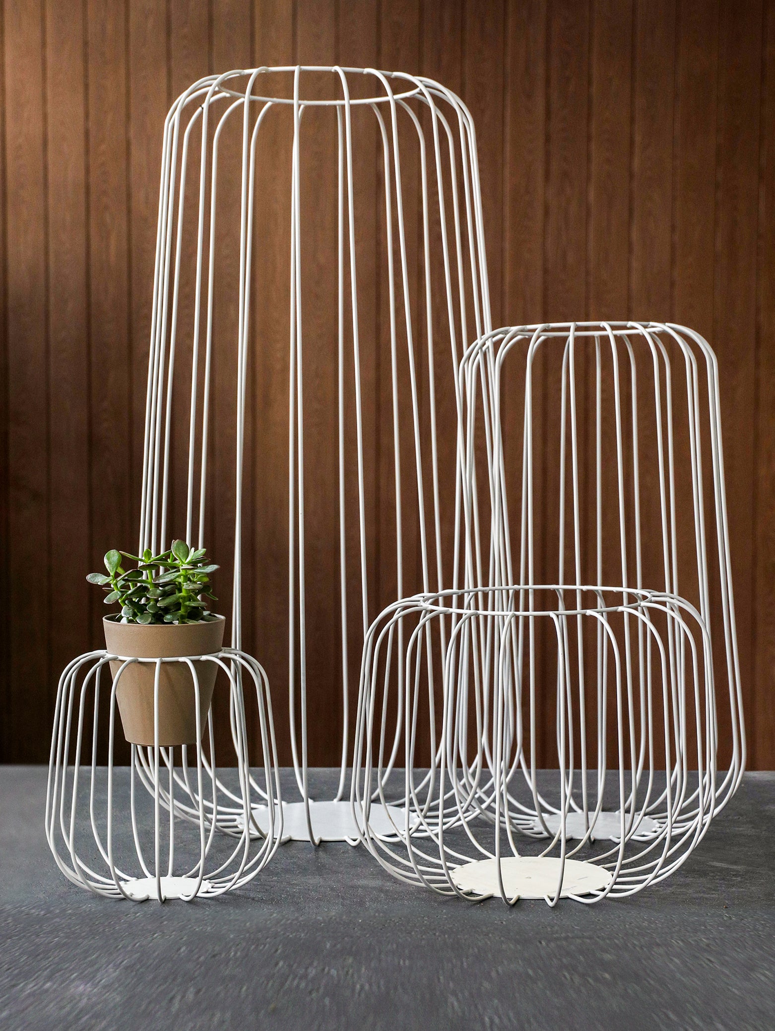 NANTES PLANT DECORATIVE CAGE SILVER - ديكور قفص للنباتات - فضي
