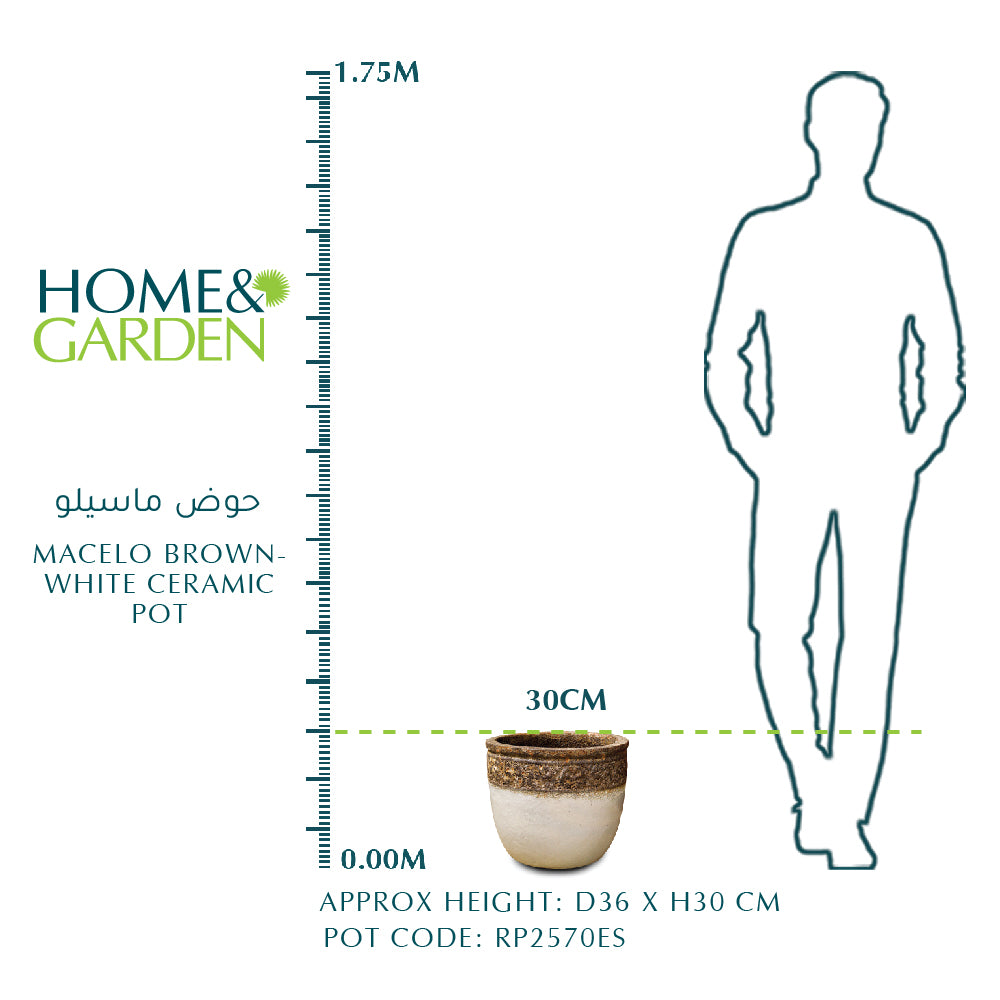 MACELO BROWN-WHITE CERAMIC POT - حوض ماسيلو