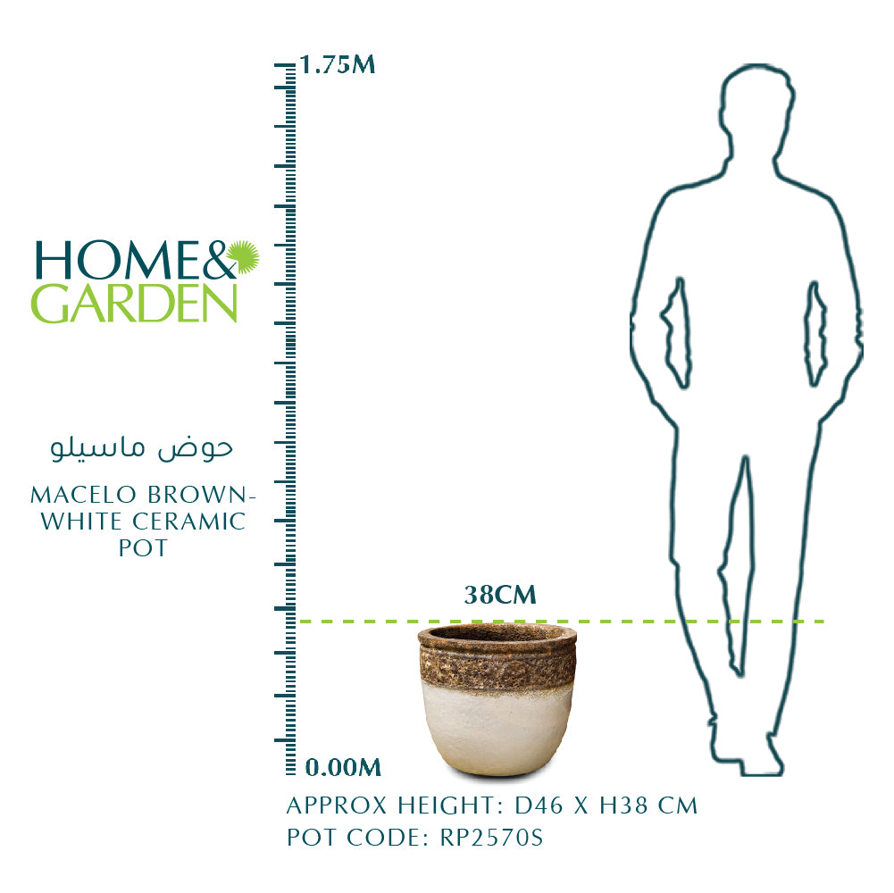 MACELO BROWN-WHITE CERAMIC POT - حوض ماسيلو